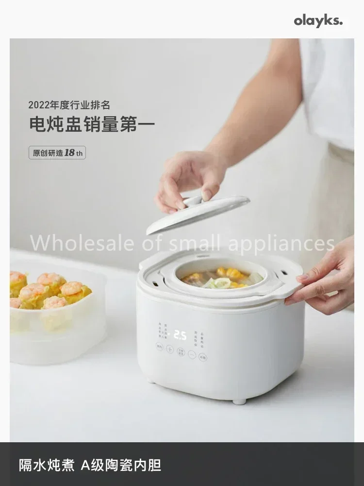 220V Small Electric Cooker, Ba - Baby Food Stew 评论和价格