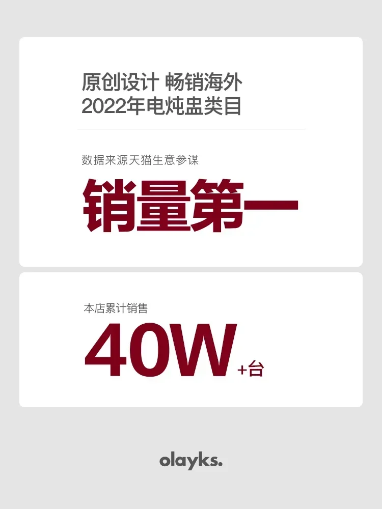 220V Small Electric Cooker, Ba - Baby Food Stew 评论和价格