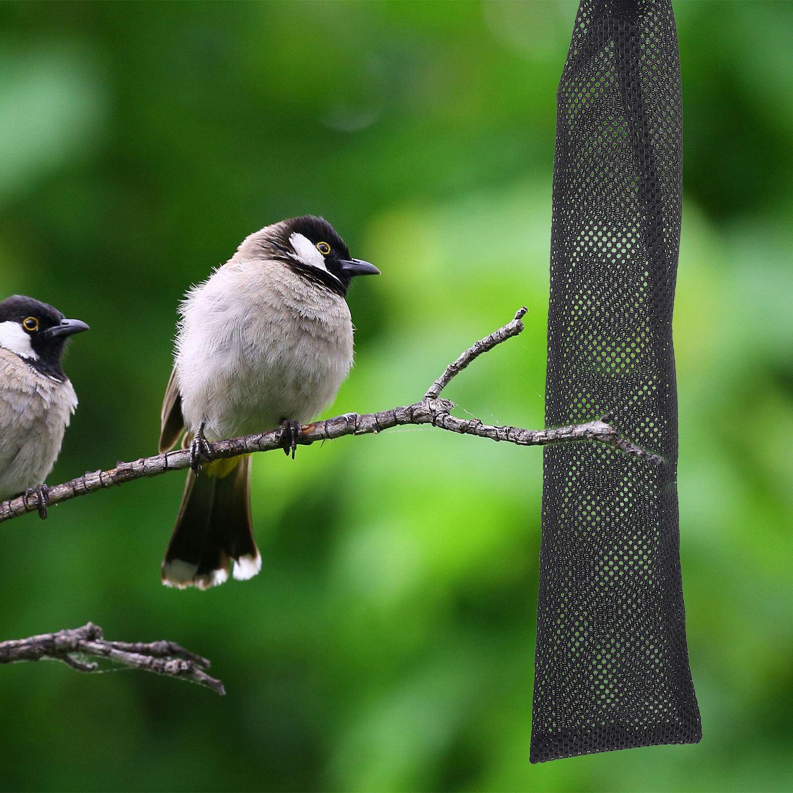 3Pcs Birds Feeding Bags Nylon  - Mesh Feeder Bag 评论和价格