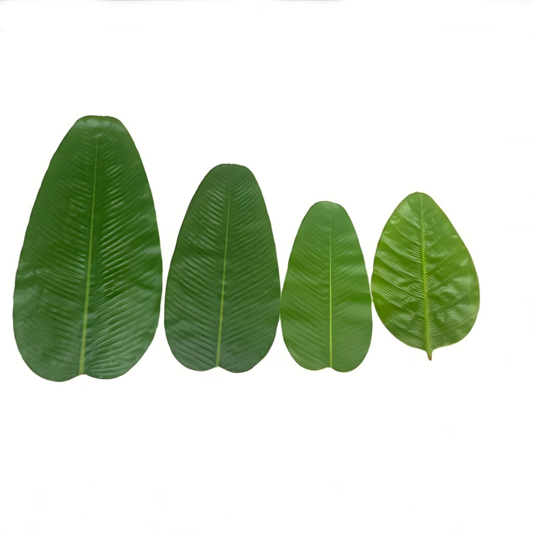Banana Leaf Dining Table Hotel - Baby Food Banana 评论和价格