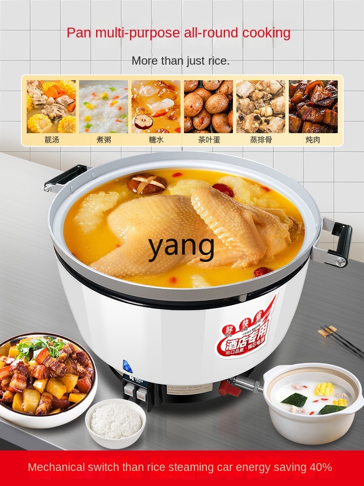 lcx Commercial Gas Large Capac - Baby Food Stew 评论和价格